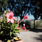 Tuopina Chianti House Lejlighed